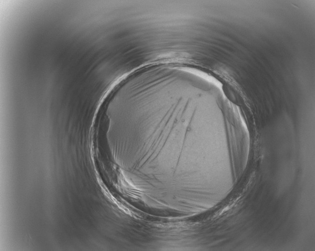 X0000055970941200509162155