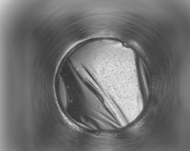 X0000055970942200509162155