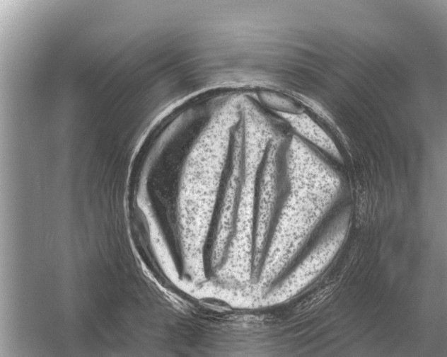 X0000055970943200509162155