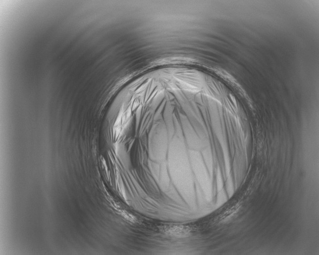 X0000055970945200509162155