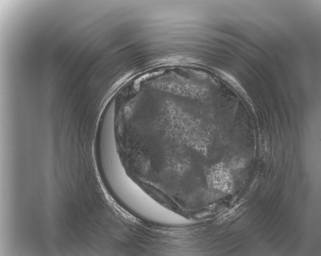 X0000055970946200509162155