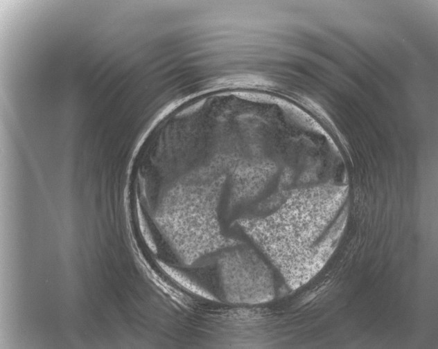 X0000055970947200509162155