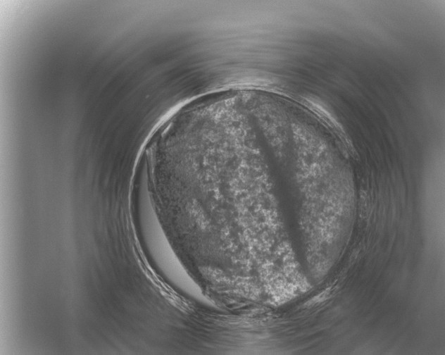 X0000055970948200509162155