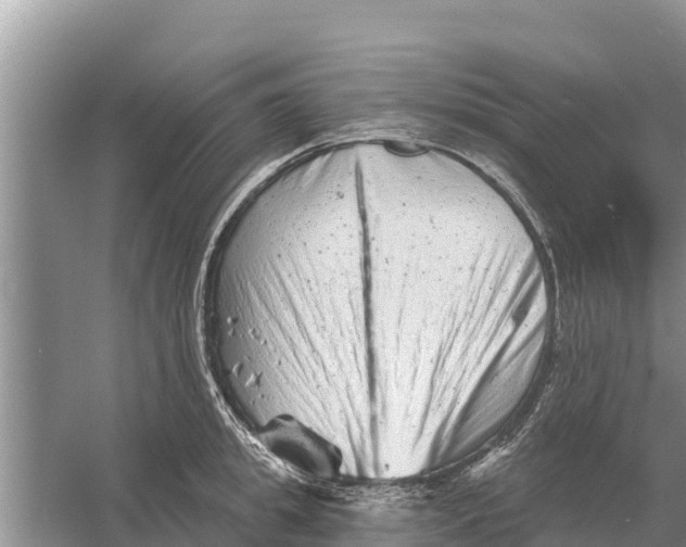 X0000055970949200509162155