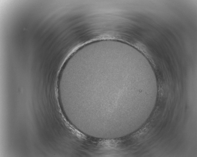 X0000055970950200509162155