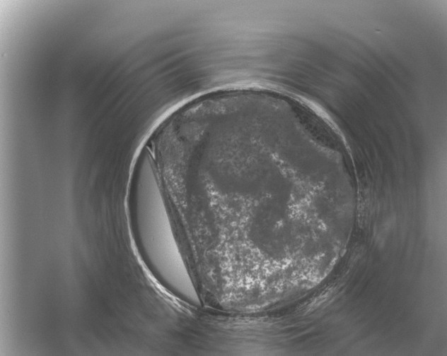 X0000055970951200509162155