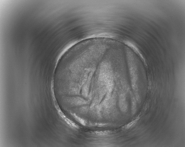 X0000055970952200509162155