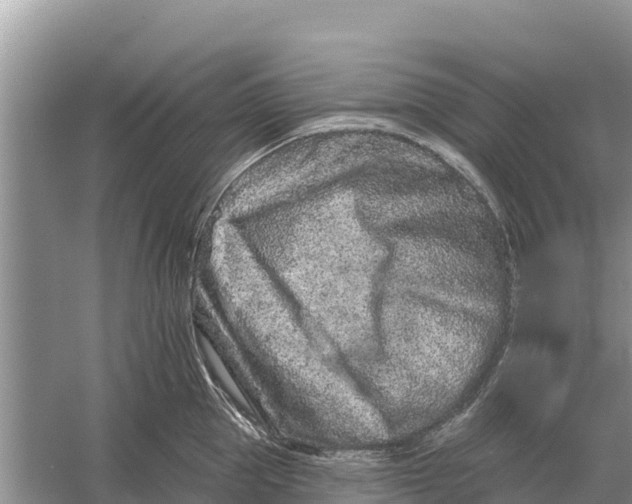 X0000055970953200509162155