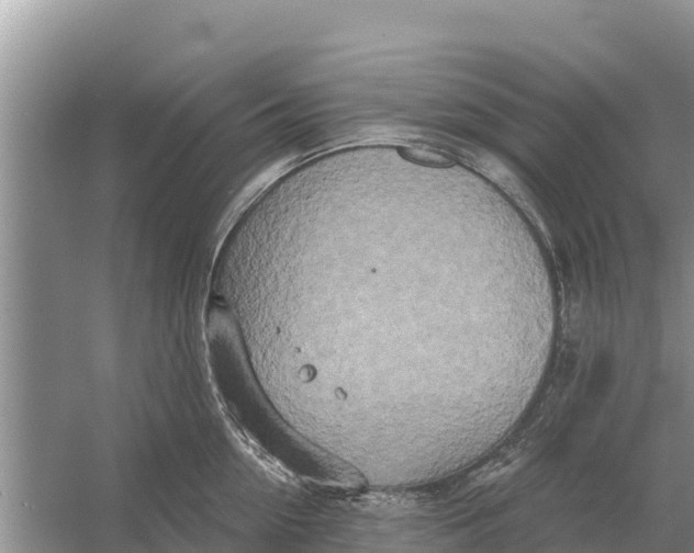 X0000055970954200509162155