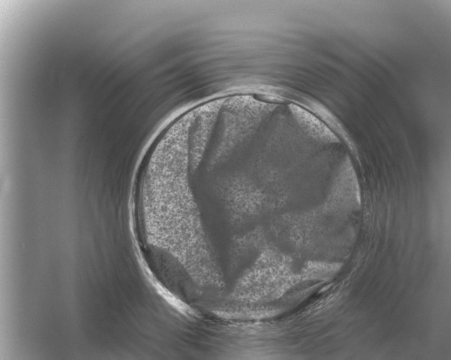 X0000055970955200509162155