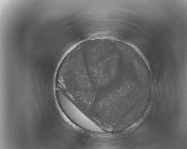 X0000055970957200509162155