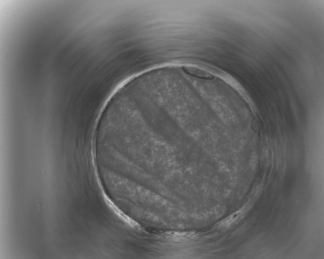 X0000055970958200509162155