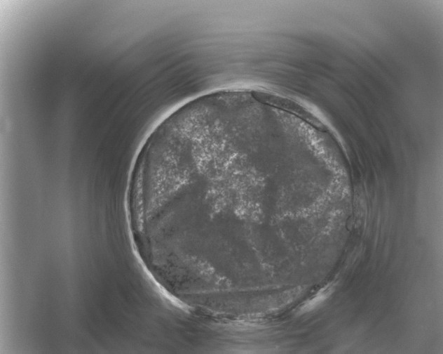 X0000055970959200509162155