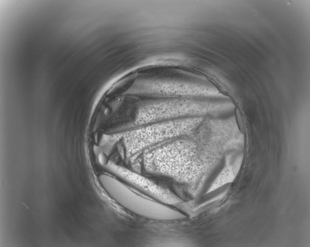 X0000055970960200509162155