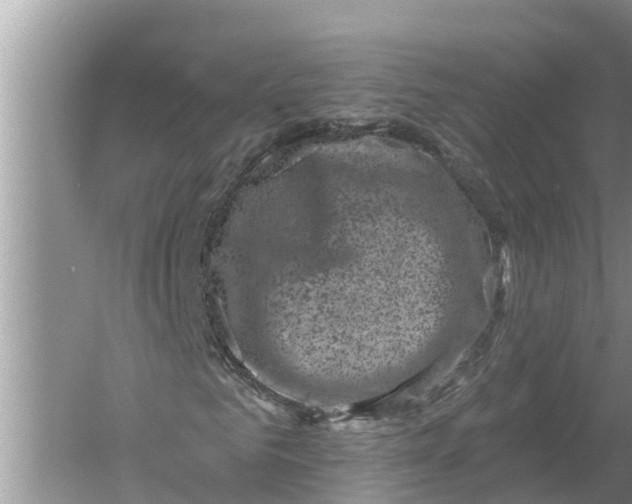 X0000055970961200509162154