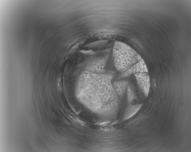 X0000055970964200509162154