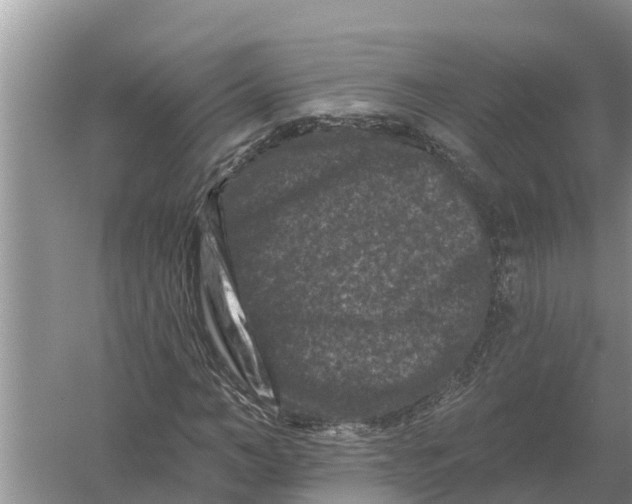 X0000055970966200509162154