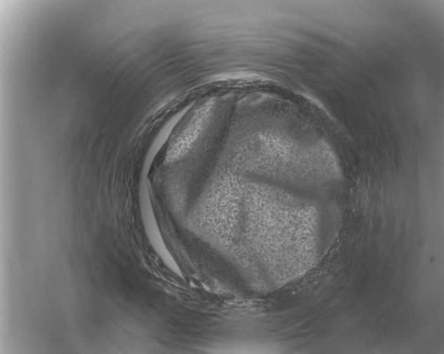 X0000055970967200509162154