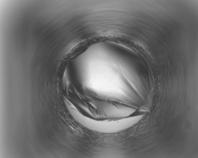 X0000055970968200509162154