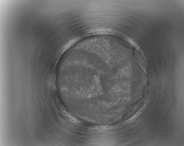 X0000055970970200509162154