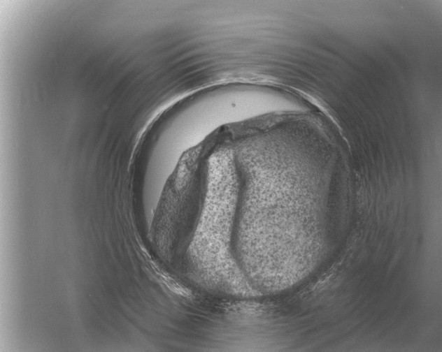 X0000055970971200509162154