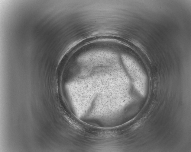 X0000055970973200509162154