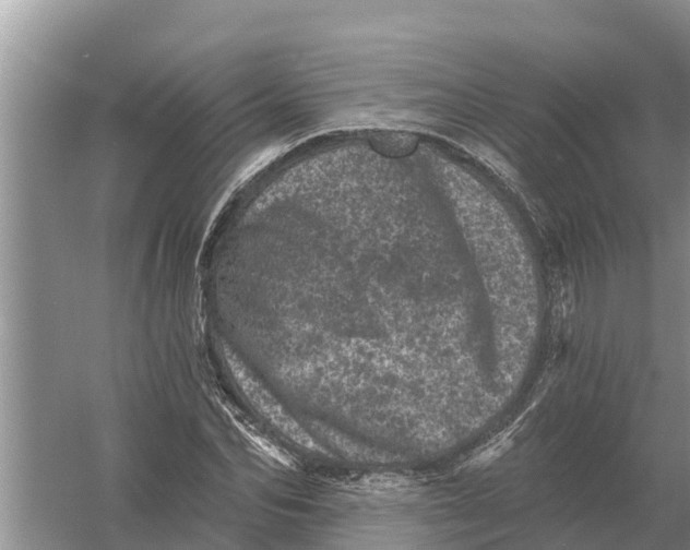 X0000055970974200509162154