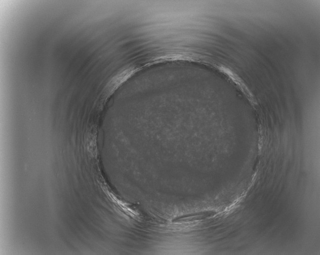 X0000055970977200509162154