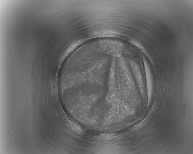 X0000055970978200509162154