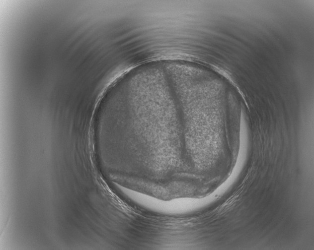 X0000055970979200509162154