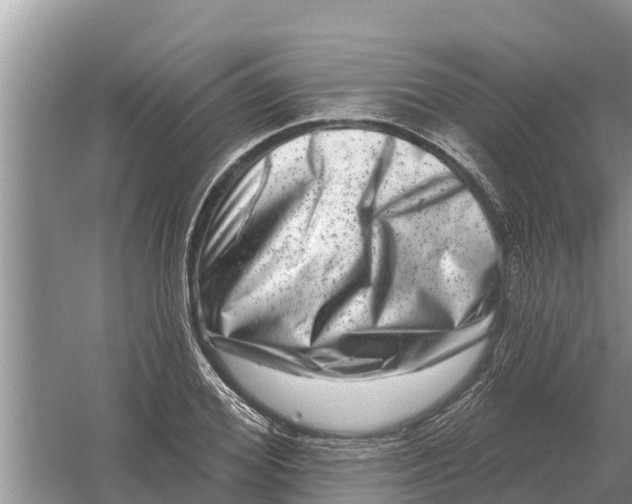 X0000055970980200509162154