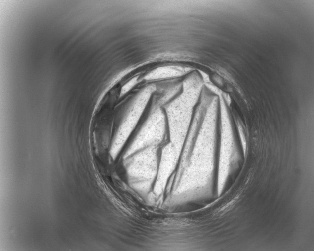 X0000055970981200509162154