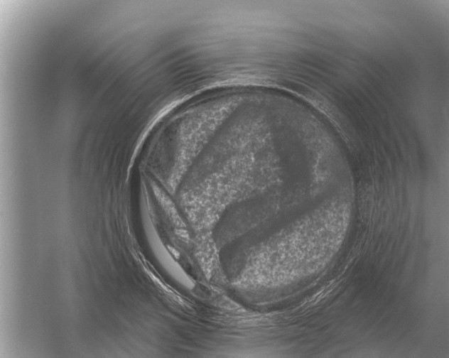 X0000055970982200509162154