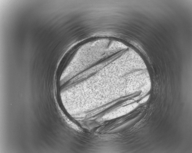 X0000055970984200509162154