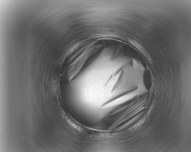 X0000055970985200509162154