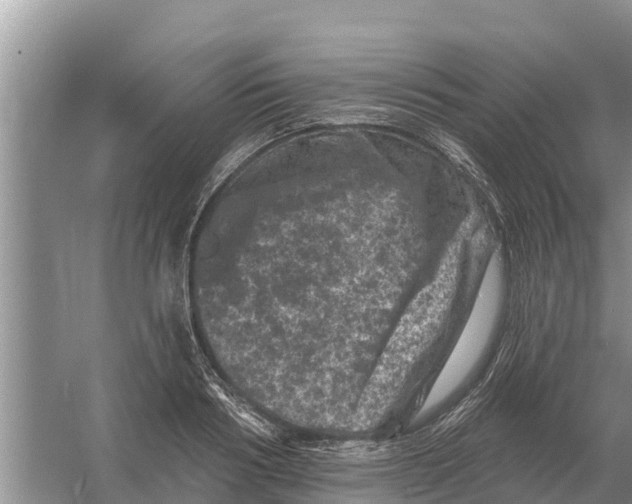 X0000055970986200509162154