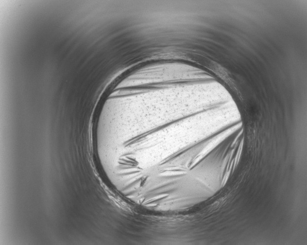 X0000055970988200509162154