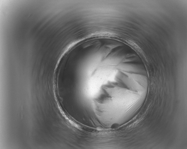 X0000055970989200509162154