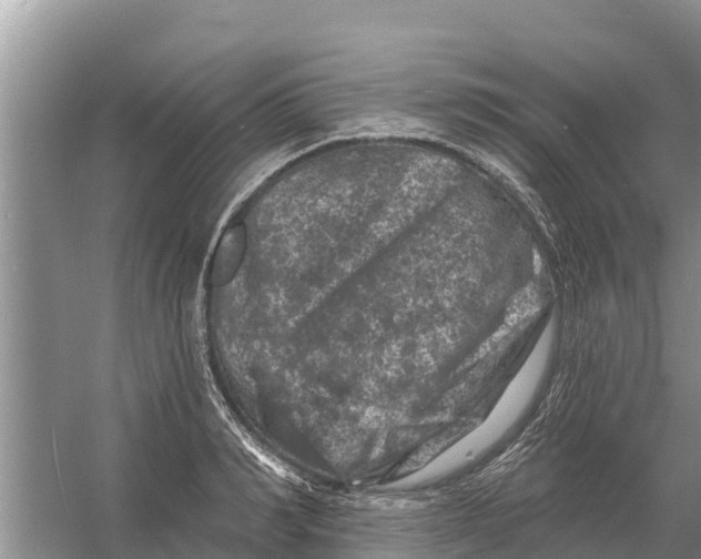 X0000055970990200509162154