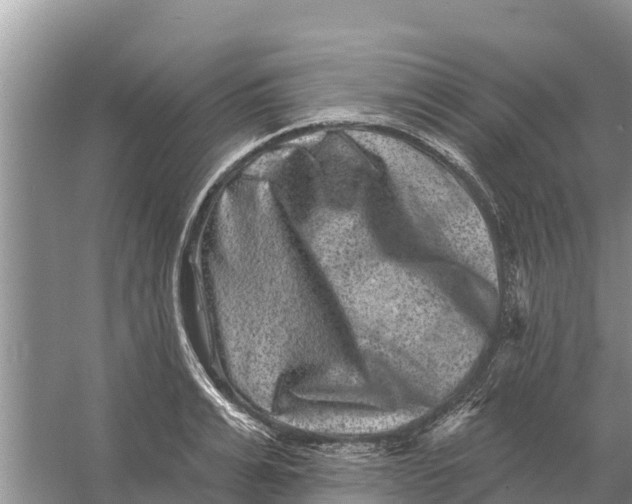 X0000055970991200509162154