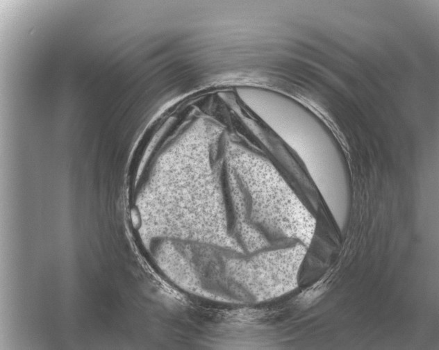 X0000055970992200509162154