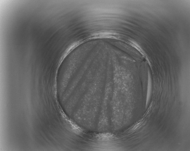 X0000055970994200509162154