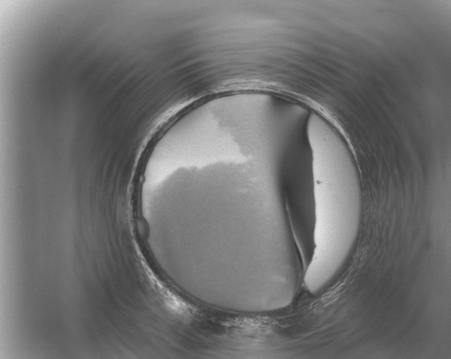 X0000055970995200509162154