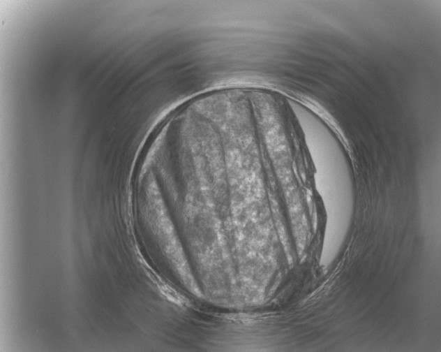 X0000055970996200509162154