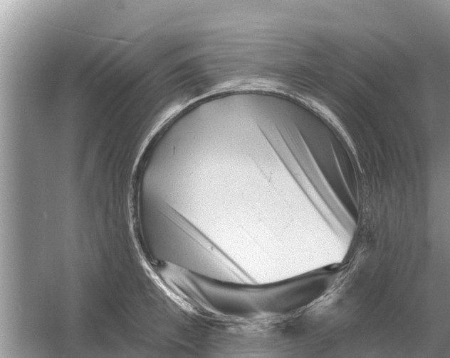 X0000055970997200509162154