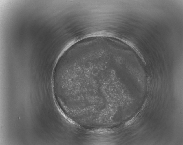 X0000055970998200509162154