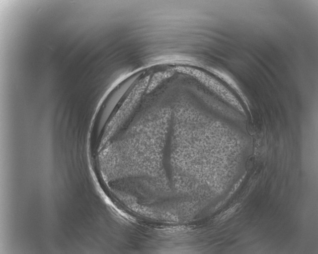 X0000055970999200509162153