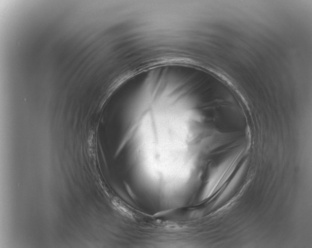 X0000055971001200509162153