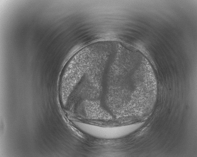 X0000055971002200509162153