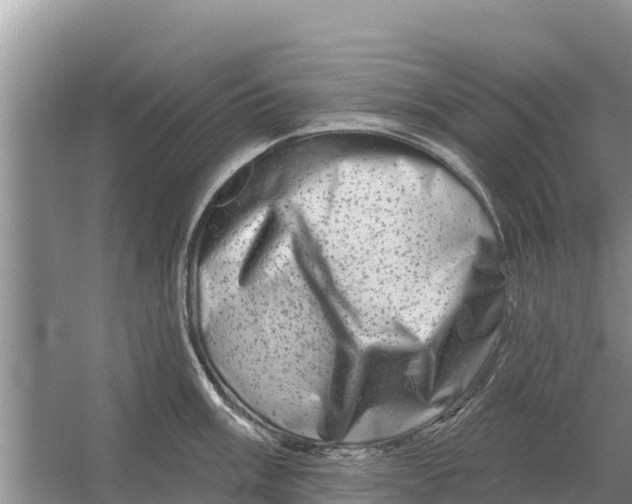 X0000055971003200509162153